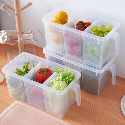 2 Pack Plastic Divided Veggie Storage Containers with Lids and Handles for Fridge Storage Organizer Boxes for Refrigerator Produce Beans Fruits Organzation
